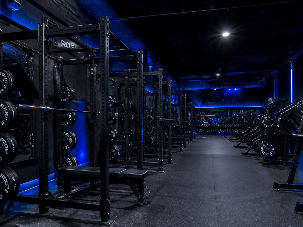 Commercial strength training floor with racks and plate-loaded machines